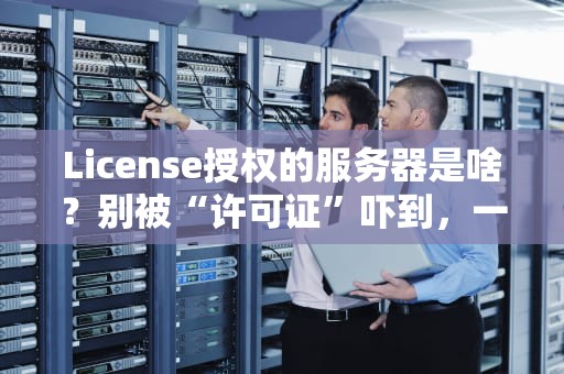 License授权的服务器是啥？别被“许可证”吓到，一文让你秒懂！