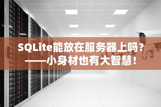 SQLite能放在服务器上吗？——小身材也有大智慧！