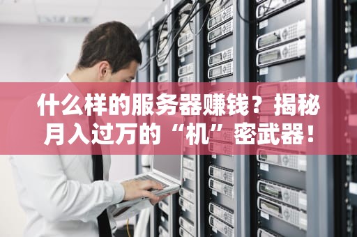 什么样的服务器赚钱？揭秘月入过万的“机”密武器！