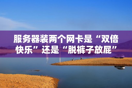 服务器装两个网卡是“双倍快乐”还是“脱裤子放屁”？专业博主带你搞懂双网卡玄机！