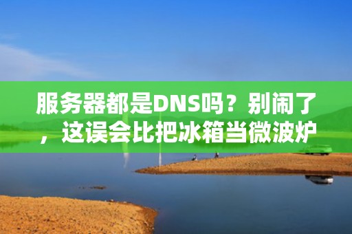 服务器都是DNS吗？别闹了，这误会比把冰箱当微波炉还离谱！