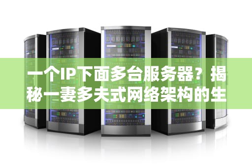 一个IP下面多台服务器？揭秘一妻多夫式网络架构的生存法则