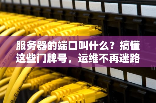 服务器的端口叫什么？搞懂这些门牌号，运维不再迷路！