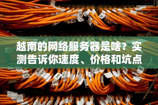 越南的网络服务器是啥？实测告诉你速度、价格和坑点！