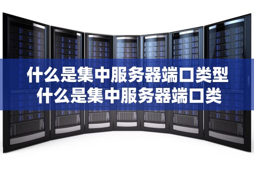 什么是集中服务器端口类型 什么是集中服务器端口类型号