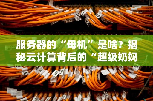 服务器的“母机”是啥？揭秘云计算背后的“超级奶妈”！