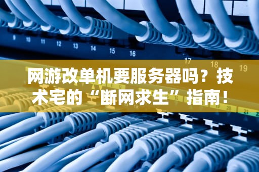 网游改单机要服务器吗？技术宅的“断网求生”指南！