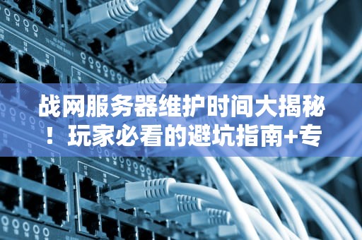 战网服务器维护时间大揭秘！玩家必看的避坑指南+专业解析