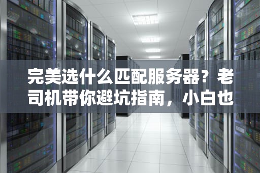 完美选什么匹配服务器？老司机带你避坑指南，小白也能秒懂！
