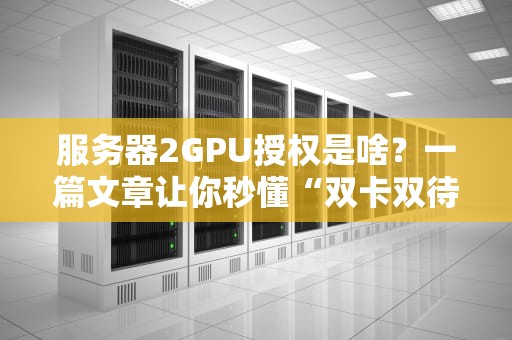 服务器2GPU授权是啥？一篇文章让你秒懂“双卡双待”的硬核玩法！