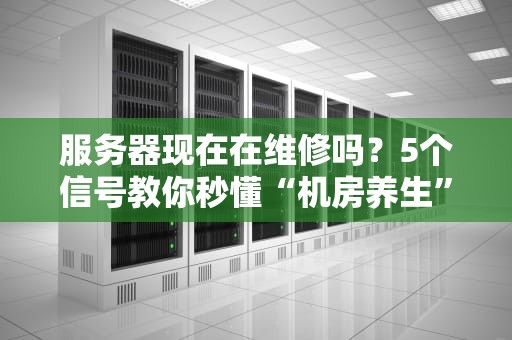 服务器现在在维修吗？5个信号教你秒懂“机房养生”状态！