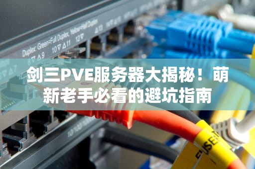 剑三PVE服务器大揭秘！萌新老手必看的避坑指南