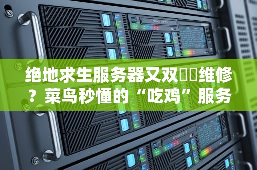 绝地求生服务器又双叒叕维修？菜鸟秒懂的“吃鸡”服务器生存指南！