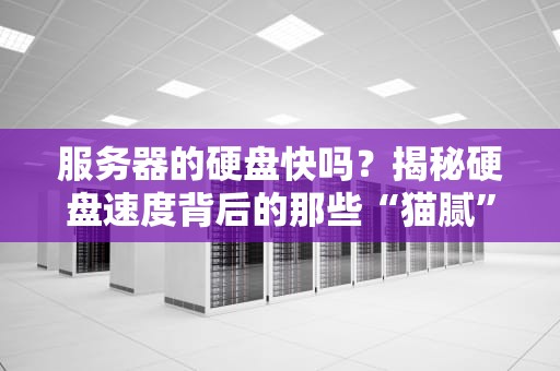 服务器的硬盘快吗？揭秘硬盘速度背后的那些“猫腻”