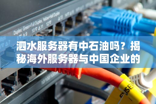 泗水服务器有中石油吗？揭秘海外服务器与中国企业的“跨国恋”