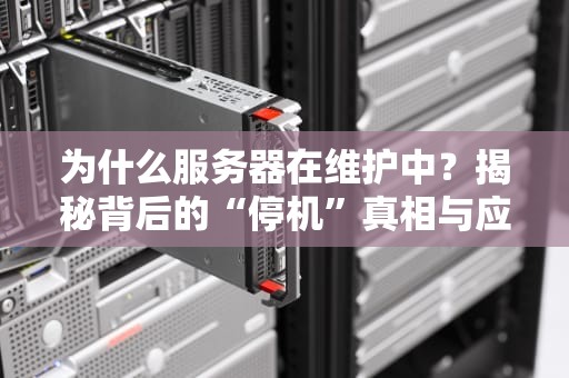 为什么服务器在维护中？揭秘背后的“停机”真相与应对妙招！