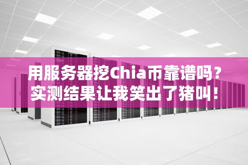 用服务器挖Chia币靠谱吗？实测结果让我笑出了猪叫！