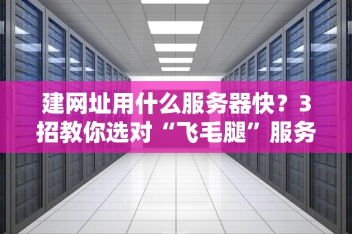 建网址用什么服务器快？3招教你选对“飞毛腿”服务器！