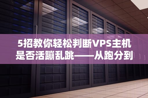 5招教你轻松判断VPS主机是否活蹦乱跳——从跑分到玄学全攻略