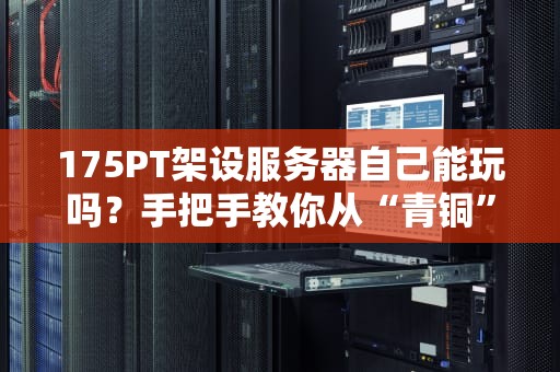 175PT架设服务器自己能玩吗？手把手教你从“青铜”变“大神”！