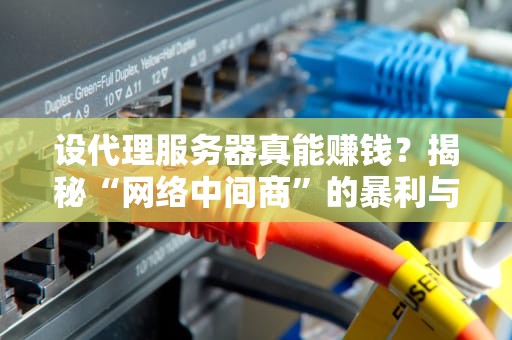 设代理服务器真能赚钱？揭秘“网络中间商”的暴利与风险！
