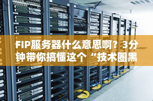 FIP服务器什么意思啊？3分钟带你搞懂这个“技术圈黑话”！
