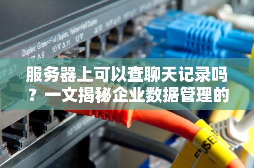 服务器上可以查聊天记录吗？一文揭秘企业数据管理的“黑匣子”