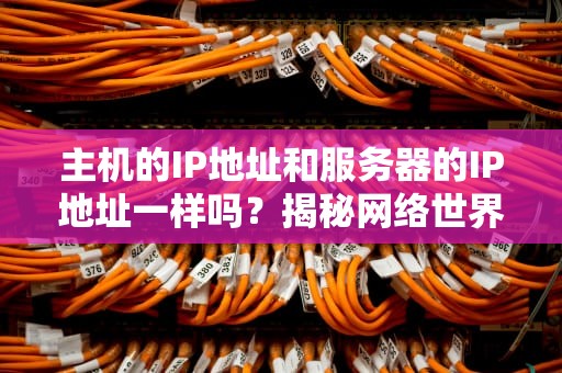 主机的IP地址和服务器的IP地址一样吗？揭秘网络世界的门牌号秘密