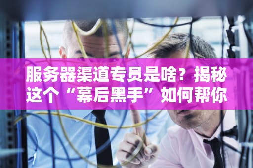 服务器渠道专员是啥？揭秘这个“幕后黑手”如何帮你省下百万预算！
