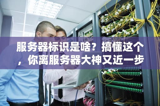 服务器标识是啥？搞懂这个，你离服务器大神又近一步！