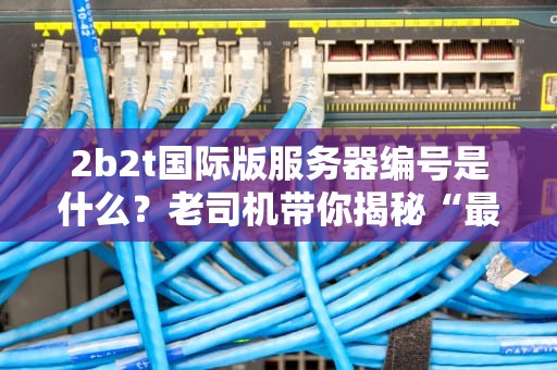 2b2t国际版服务器编号是什么？老司机带你揭秘“最野”MC服务器的前世今生！