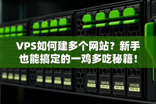 VPS如何建多个网站？新手也能搞定的一鸡多吃秘籍！