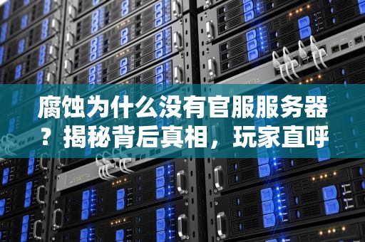 腐蚀为什么没有官服服务器？揭秘背后真相，玩家直呼“太真实”！