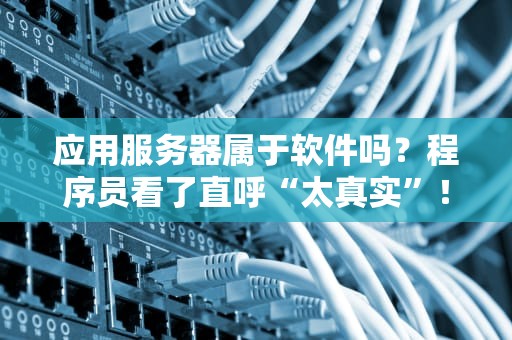 应用服务器属于软件吗？程序员看了直呼“太真实”！