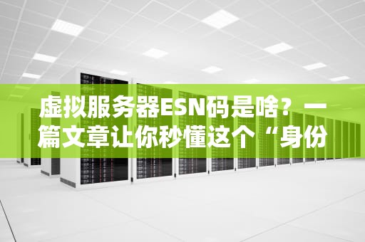 虚拟服务器ESN码是啥？一篇文章让你秒懂这个“身份证”的奥秘！