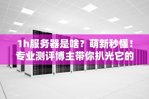 1h服务器是啥？萌新秒懂！专业测评博主带你扒光它的底裤！