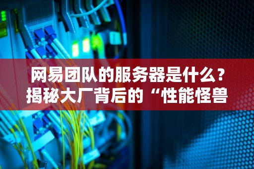 网易团队的服务器是什么？揭秘大厂背后的“性能怪兽”！（附真实测评数据）