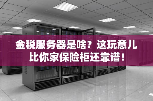 金税服务器是啥？这玩意儿比你家保险柜还靠谱！