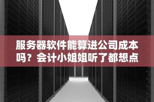 服务器软件能算进公司成本吗？会计小姐姐听了都想点赞的省钱秘籍！