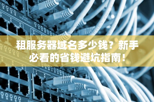 租服务器域名多少钱？新手必看的省钱避坑指南！