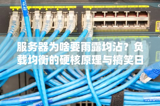 服务器为啥要雨露均沾？负载均衡的硬核原理与搞笑日常