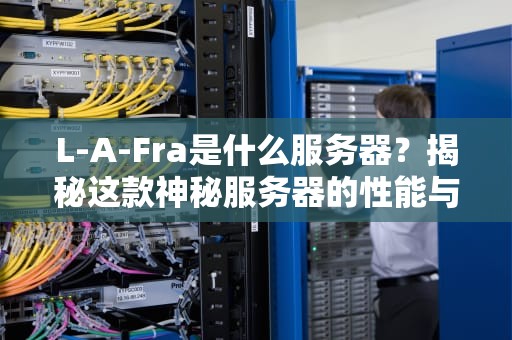 L-A-Fra是什么服务器？揭秘这款神秘服务器的性能与适用场景