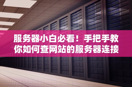 服务器小白必看！手把手教你如何查网站的服务器连接（附超实用工具）