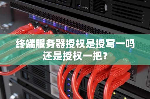 终端服务器授权是授写一吗还是授权一把？