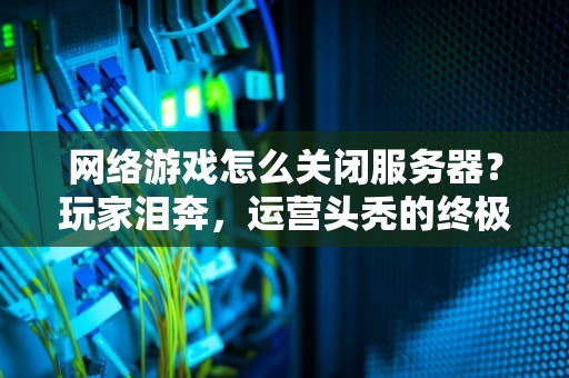 网络游戏怎么关闭服务器？玩家泪奔，运营头秃的终极指南！