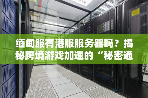 缅甸服有港服服务器吗？揭秘跨境游戏加速的“秘密通道”！
