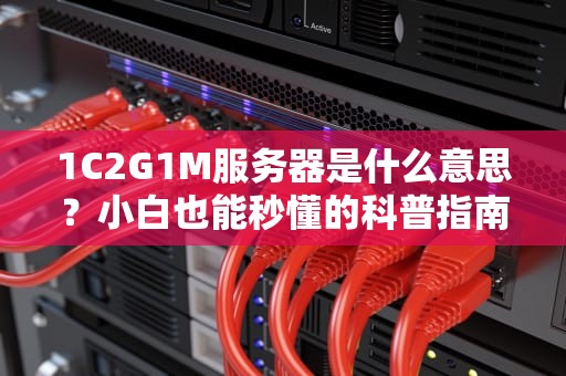 1C2G1M服务器是什么意思？小白也能秒懂的科普指南！