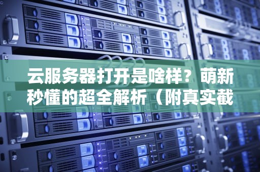云服务器打开是啥样？萌新秒懂的超全解析（附真实截图）