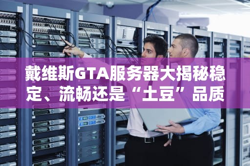 戴维斯GTA服务器大揭秘稳定、流畅还是“土豆”品质？专业测评带你避坑！