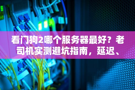 看门狗2哪个服务器最好？老司机实测避坑指南，延迟、丢包全搞定！
